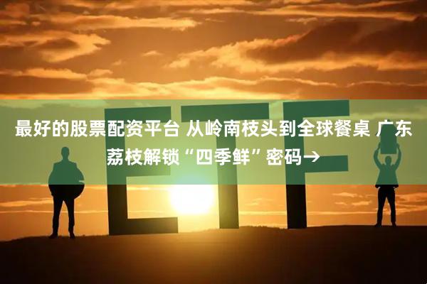 最好的股票配资平台 从岭南枝头到全球餐桌 广东荔枝解锁“四季鲜”密码→